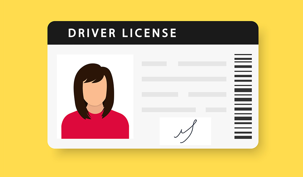 This is an image of a driver licence